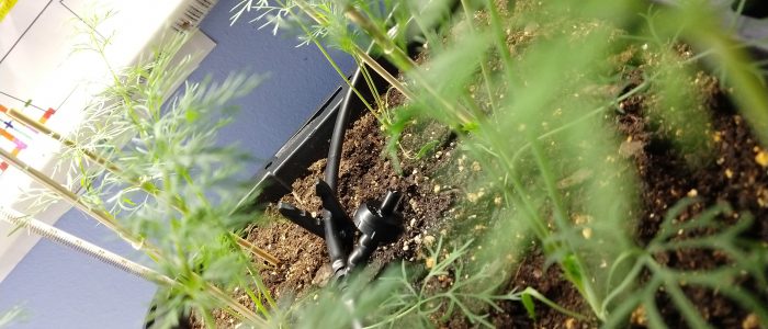 IMG_20190210_232715367