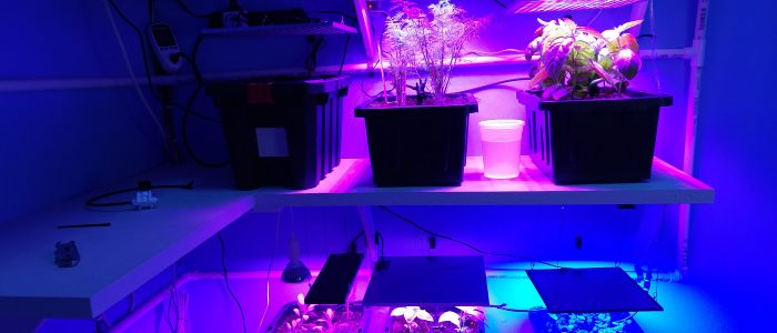 IMG_20190220_110644956