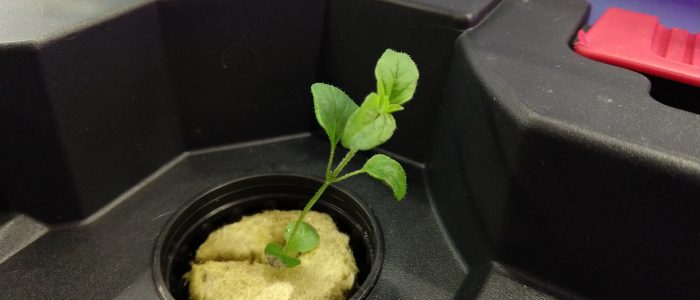 IMG_20190220_113252133