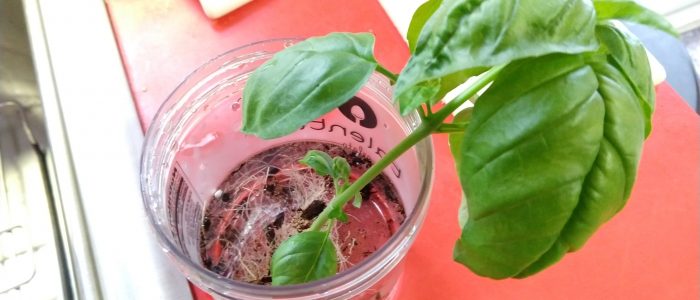 IMG_20190220_114508344