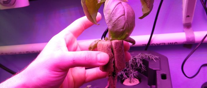 IMG_20190220_114858897