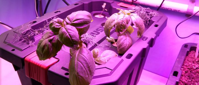 IMG_20190220_124229587_HDR