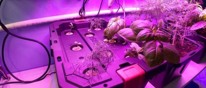 IMG_20190220_124238694_HDR