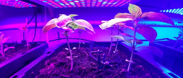 IMG_20190220_135112599_HDR