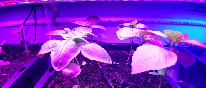 IMG_20190220_135120995_HDR