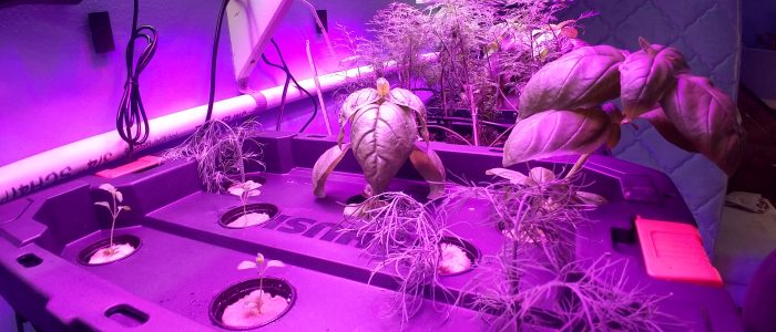 IMG_20190220_142914050_HDR